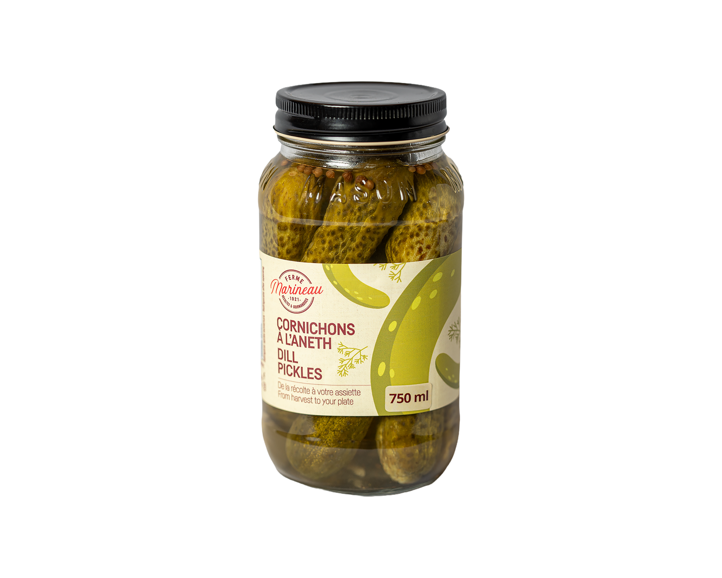 Dill pickle