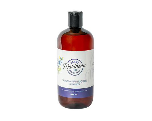 Savon à Main Liquide aux Bleuets